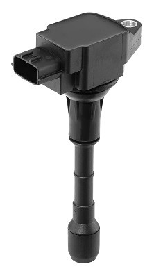 BorgWarner (BERU) Zündspule