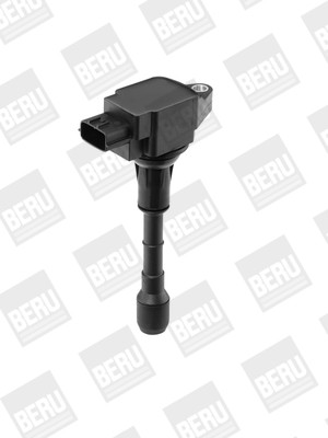 BorgWarner (BERU) Zündspule