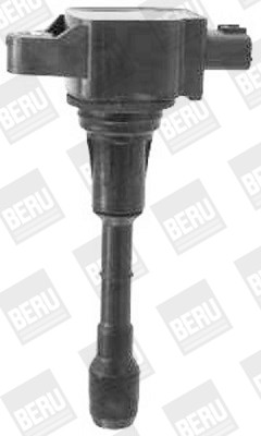 BorgWarner (BERU) Zündspule