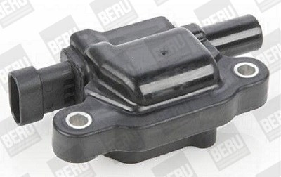 BorgWarner (BERU) Zündspule