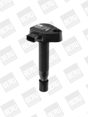 BorgWarner (BERU) Zündspule