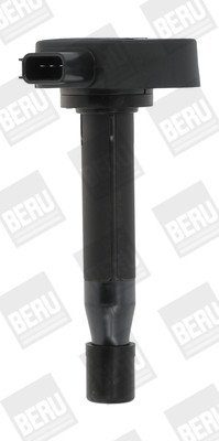 BorgWarner (BERU) Zündspule