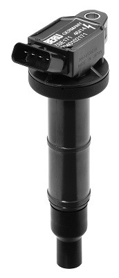 BorgWarner (BERU) Zündspule