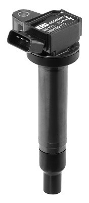 BorgWarner (BERU) Zündspule