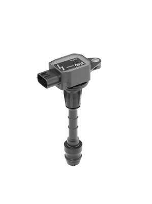 BorgWarner (BERU) Zündspule