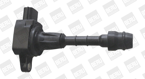 BorgWarner (BERU) Zündspule