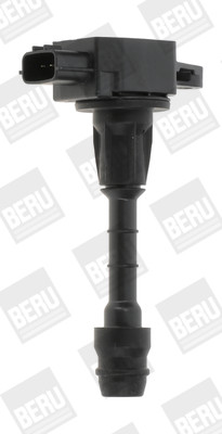BorgWarner (BERU) Zündspule