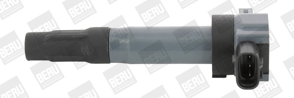 BorgWarner (BERU) Zündspule