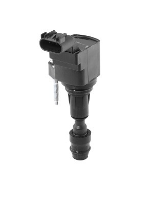 BorgWarner (BERU) Zündspule