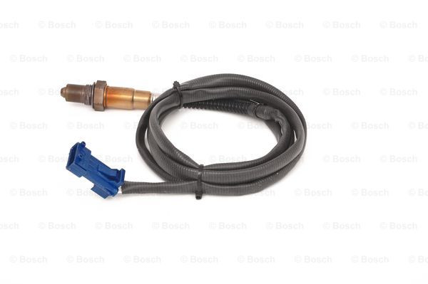 BOSCH Lambdasonde