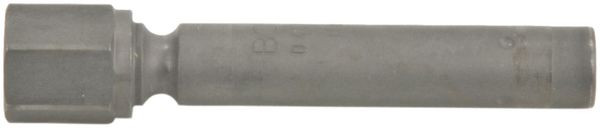 BOSCH Einspritzventil