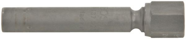 BOSCH Einspritzventil