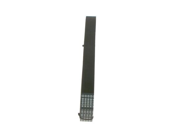 BOSCH Keilrippenriemen