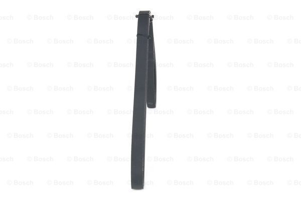 BOSCH Keilrippenriemen BOSCH Keilrippenriemen