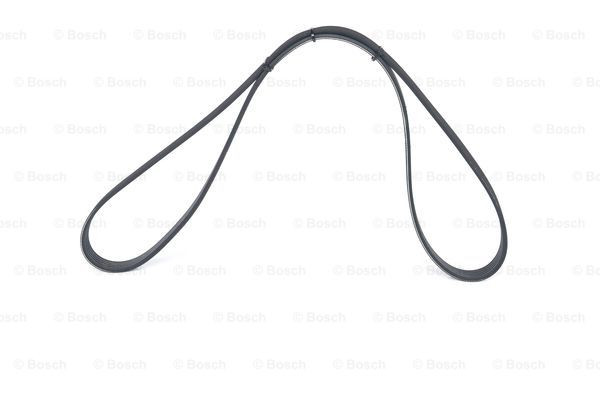 BOSCH Keilrippenriemen BOSCH Keilrippenriemen