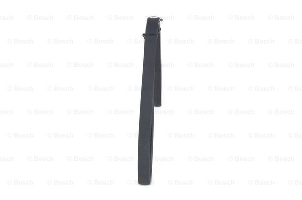 BOSCH Keilrippenriemen BOSCH Keilrippenriemen
