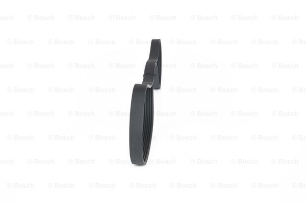 BOSCH Keilrippenriemen BOSCH Keilrippenriemen