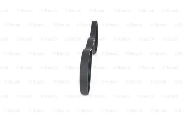 BOSCH Keilrippenriemen BOSCH Keilrippenriemen