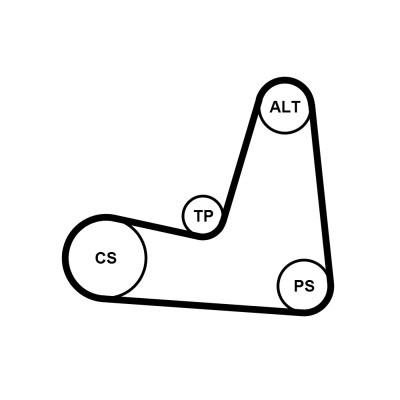 CONTINENTAL CTAM Keilrippenriemensatz