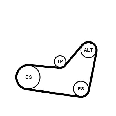 CONTINENTAL CTAM Keilrippenriemensatz