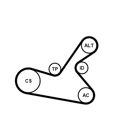 CONTINENTAL CTAM Keilrippenriemensatz