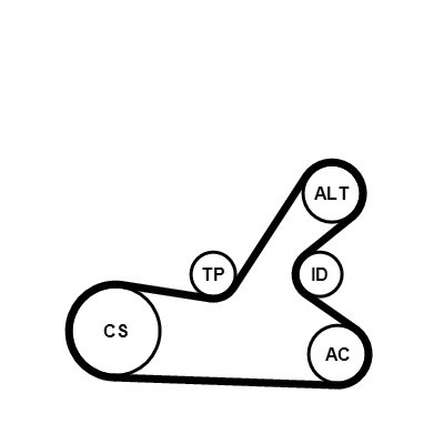 CONTINENTAL CTAM Keilrippenriemensatz