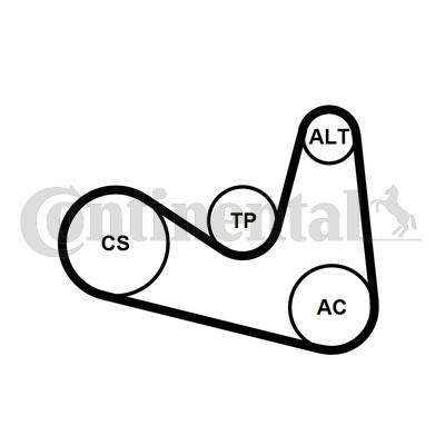 CONTINENTAL CTAM Keilrippenriemensatz