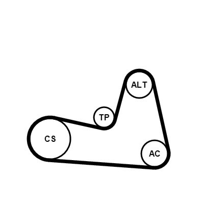 CONTINENTAL CTAM Keilrippenriemensatz