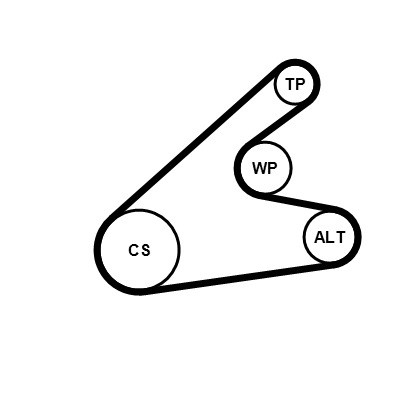 CONTINENTAL CTAM Keilrippenriemensatz