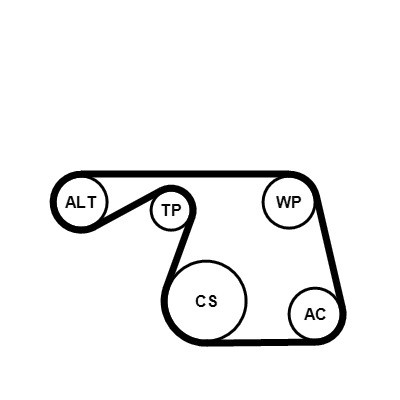 CONTINENTAL CTAM Keilrippenriemensatz