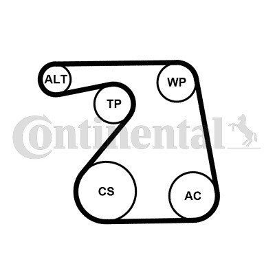 CONTINENTAL CTAM Keilrippenriemensatz