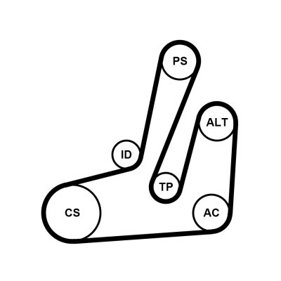 CONTINENTAL CTAM Keilrippenriemensatz