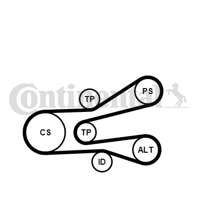 CONTINENTAL CTAM Keilrippenriemensatz