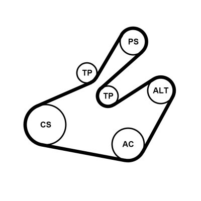 CONTINENTAL CTAM Keilrippenriemensatz