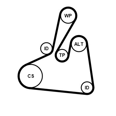 CONTINENTAL CTAM Keilrippenriemensatz