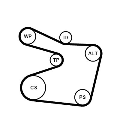 CONTINENTAL CTAM Keilrippenriemensatz