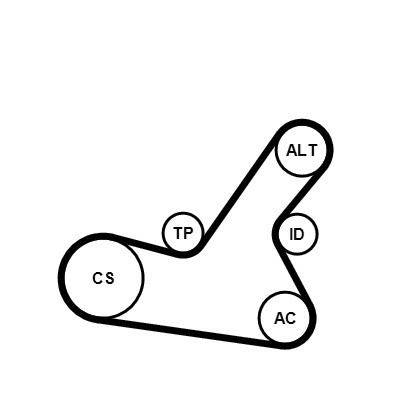 CONTINENTAL CTAM Keilrippenriemensatz