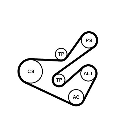 CONTINENTAL CTAM Keilrippenriemensatz