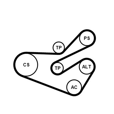 CONTINENTAL CTAM Keilrippenriemensatz