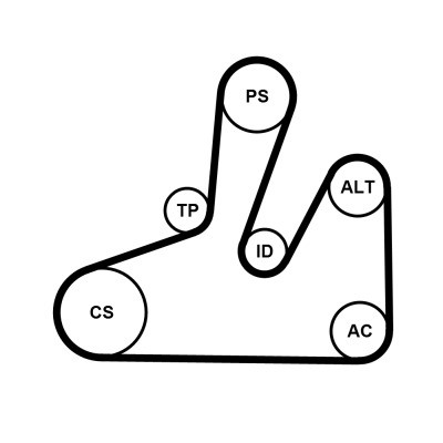 CONTINENTAL CTAM Keilrippenriemensatz