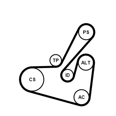 CONTINENTAL CTAM Keilrippenriemensatz