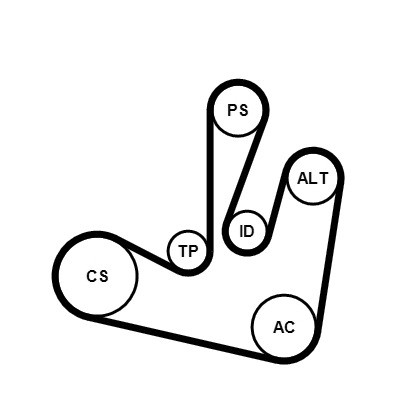 CONTINENTAL CTAM Keilrippenriemensatz