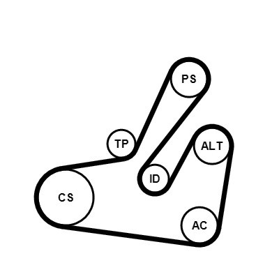 CONTINENTAL CTAM Keilrippenriemensatz
