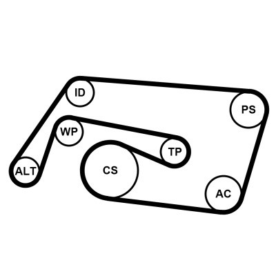 CONTINENTAL CTAM Keilrippenriemensatz