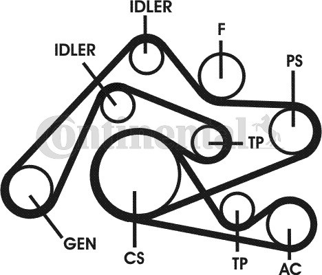 CONTINENTAL CTAM Zahnriemensatz