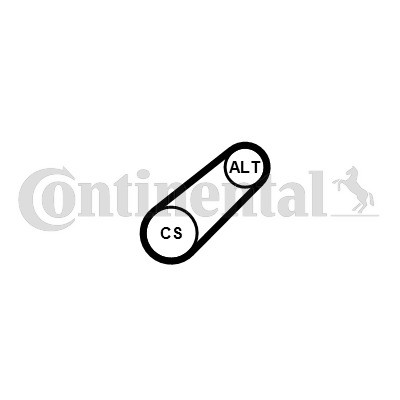 CONTINENTAL CTAM Keilrippenriemen