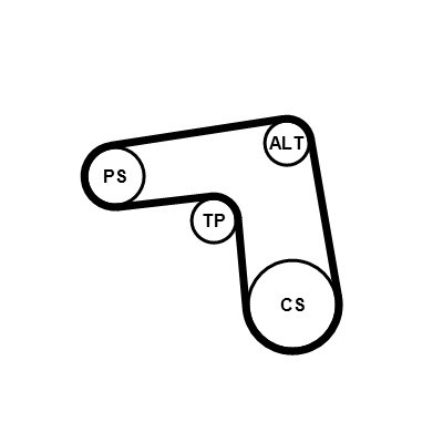 CONTINENTAL CTAM Keilrippenriemensatz