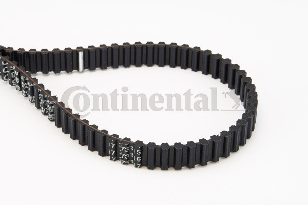 CONTINENTAL CTAM Zahnriemen