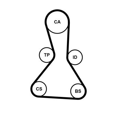 CONTINENTAL CTAM Zahnriemen