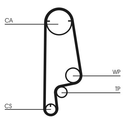 CONTINENTAL CTAM Zahnriemen